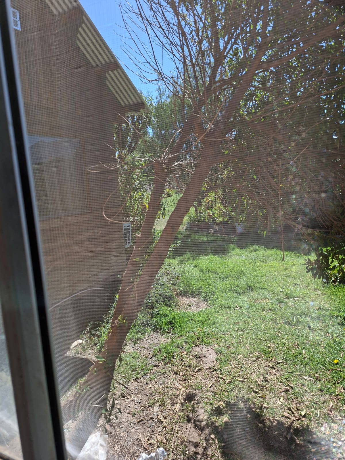 Parcela El Carmen sn